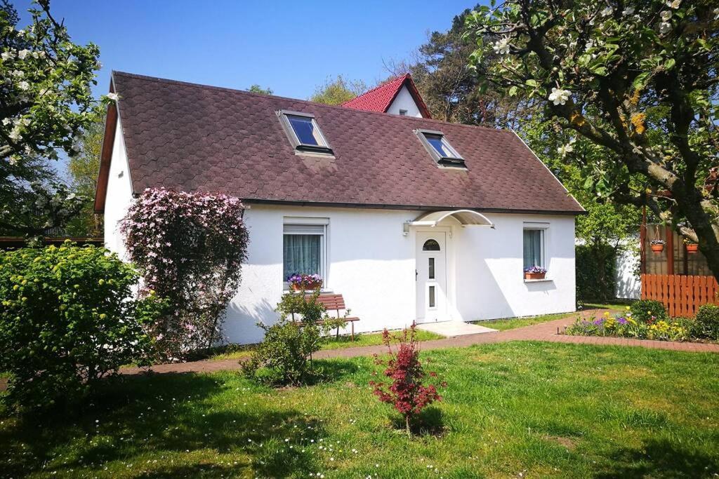 Ferienhaus Im Igelbau Baabe Exterior photo